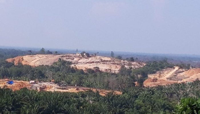 Viral Klaim Tambang Ilegal di Kalbar Dibantah Oknum Pejabat, Ini Fakta Terbaru